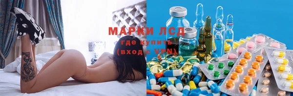 индика Алзамай