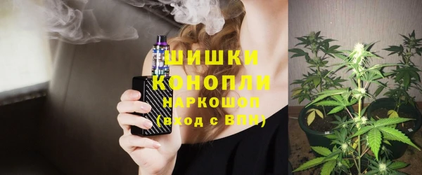 индика Алзамай