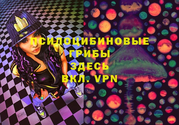 индика Алзамай
