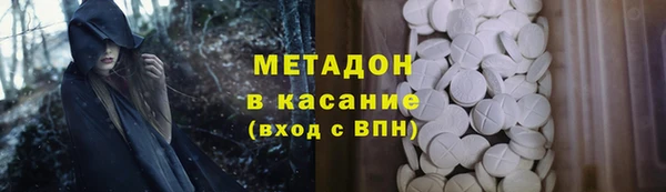 индика Алзамай
