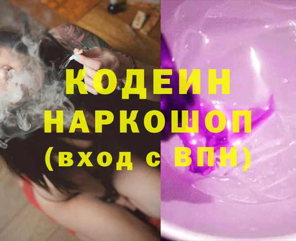 индика Алзамай