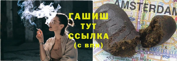индика Алзамай