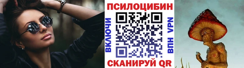 Псилоцибиновые грибы Cubensis  mega как зайти  Чаплыгин  купить закладку 